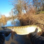 フランス・パリの西にあるブローニュの森でHuerco XT610-4Cに入魂出来た！相棒決定！買って良かったパックロッド