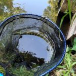 魚へのダメージを少なくする方法・工夫 / 魚に優しいアイテム紹介