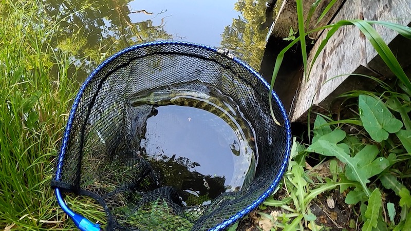 魚へのダメージを少なくする方法・工夫 / 魚に優しいアイテム紹介
