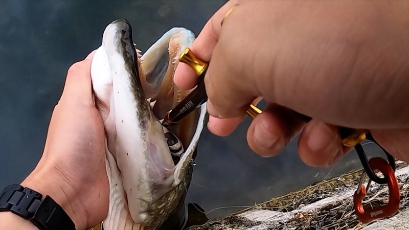 【インプレ】スタジオオーシャンマークのフックリムーバー「HR165S」を使ってみた！果たして買いなのか！？