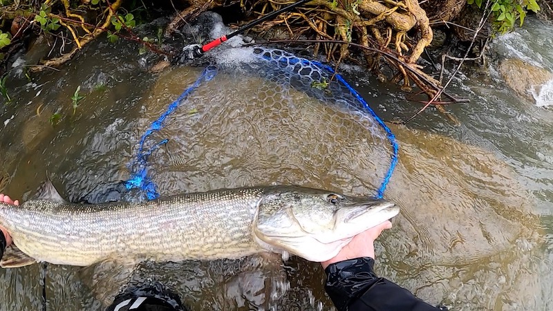 【インプレ】Huerco FF600-5C は最高に遊べるチューブラ・グラス・パックロッド！！